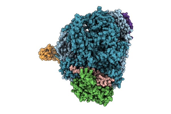 9EXN image