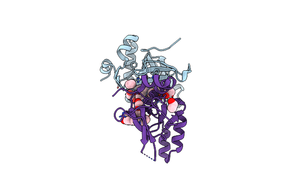 9EXX image