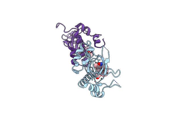 9EXY image