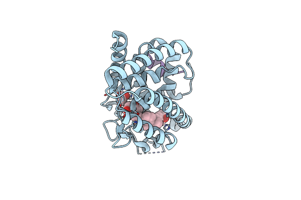 9EZ2 image