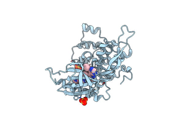 9EZ3 image