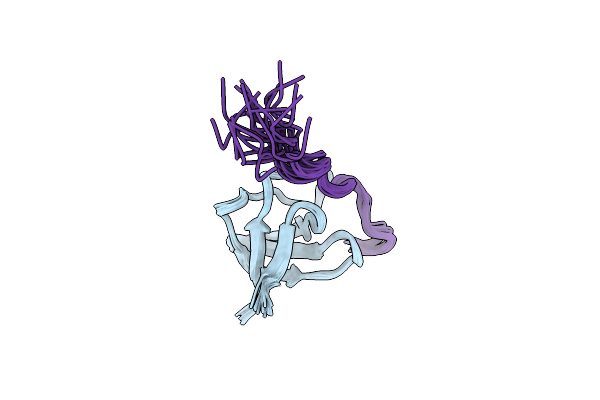 9EZP image