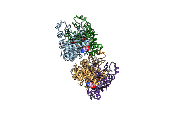 9EZS image