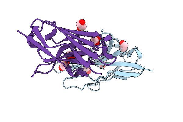 9EZV image