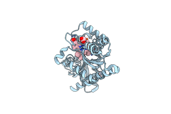 9F0F image