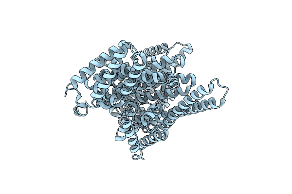 9F0L image
