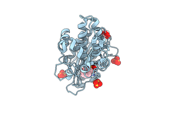 9F0V image
