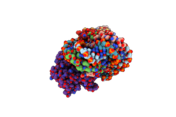 9F0X image