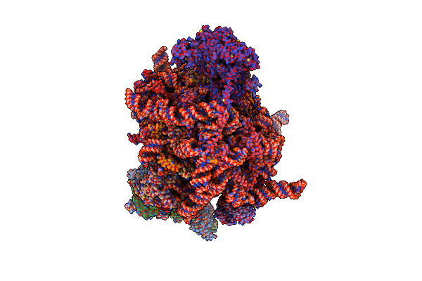 9F1B image