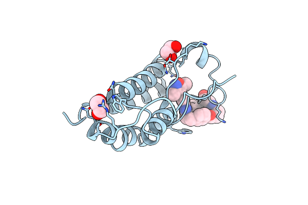 9F1J image