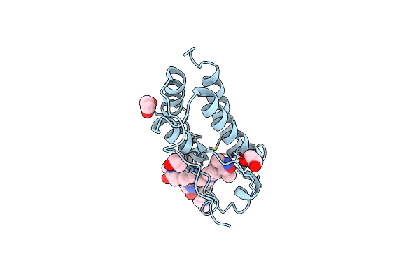 9F1L image