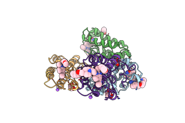 9F1M image