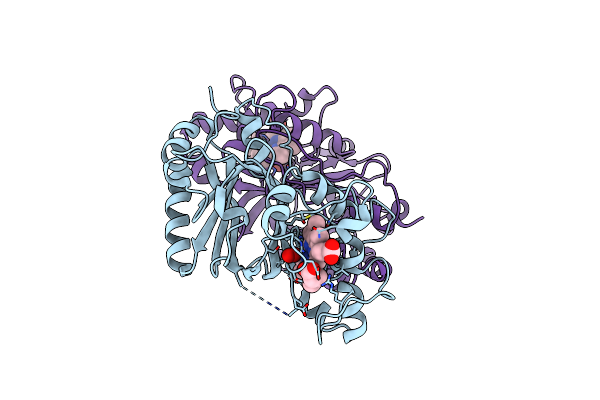 9F1O image