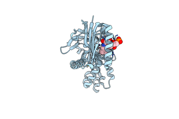 9F1X image
