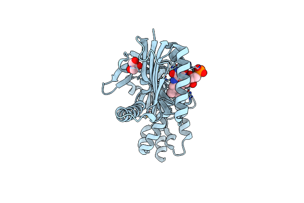 9F1Z image