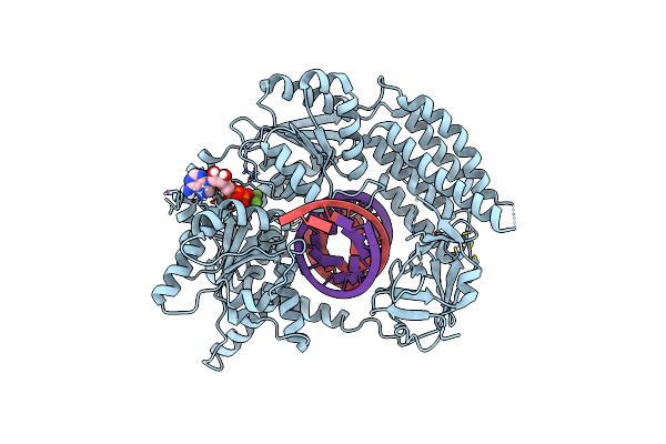 9F20 image