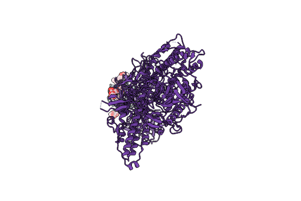 9F2B image