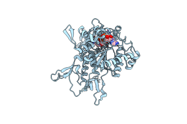 9F2K image