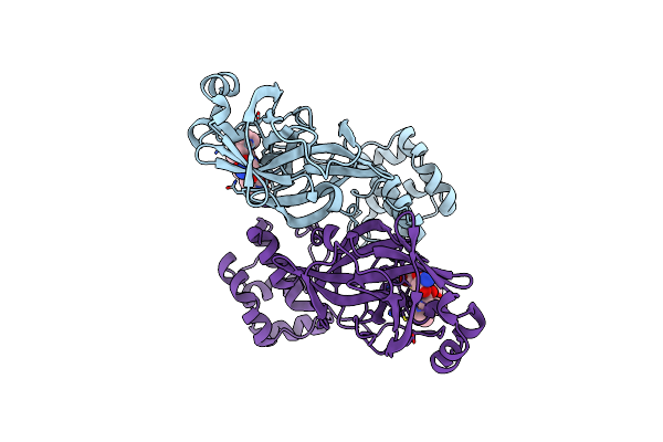 9F2X image