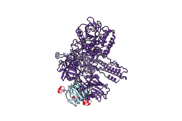 9F2Y image