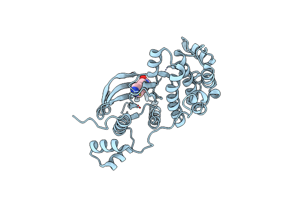 9F31 image