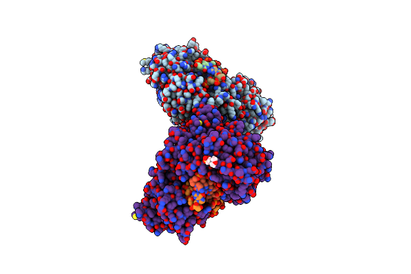 9F38 image