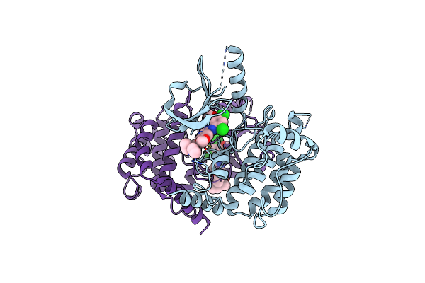 9F3V image