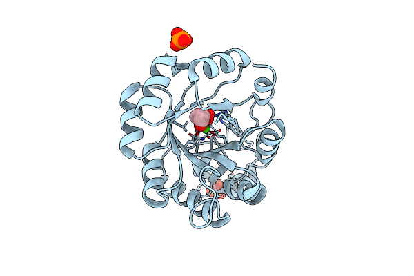9F49 image