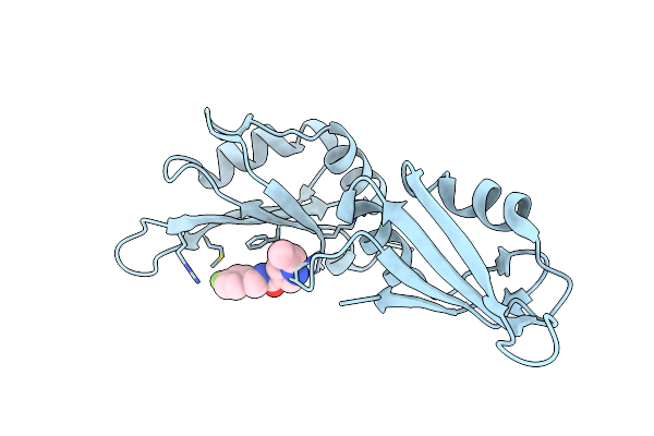 9F4D image