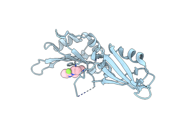9F4G image