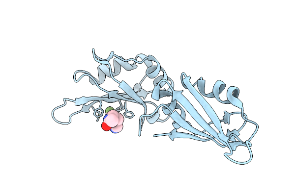 9F4X image