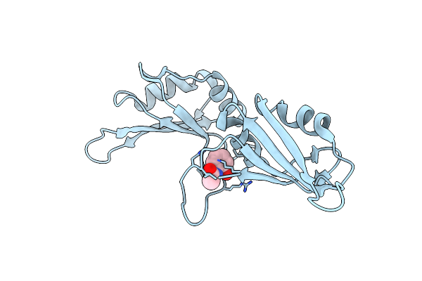 9F4Z image