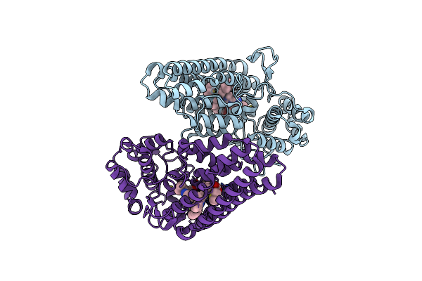 9F5R image