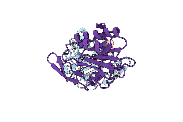 9F65 image