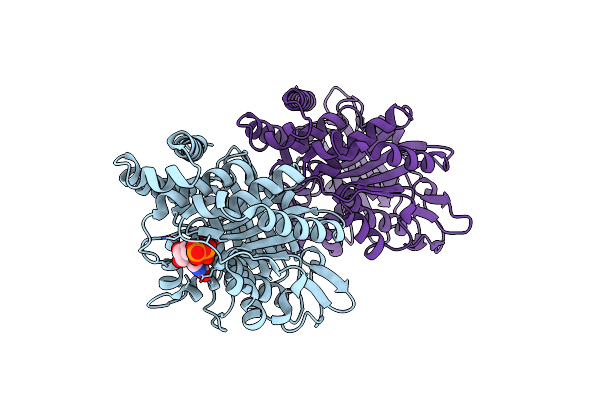 9F6V image