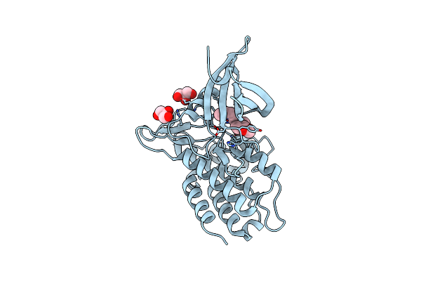 9F6X image