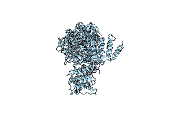 9F6Y image