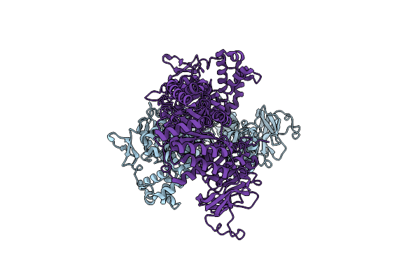 9F6Z image