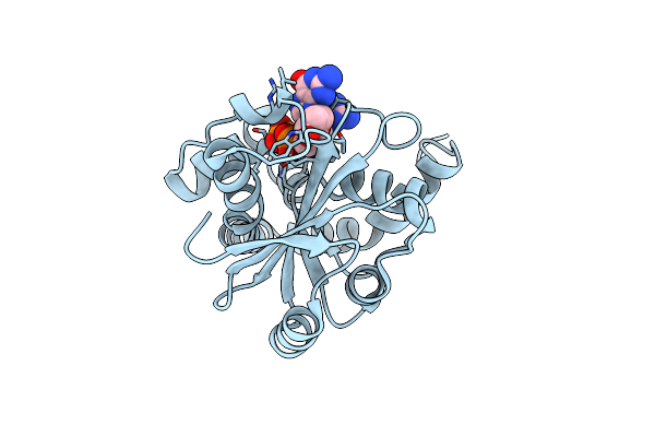 9F7D image
