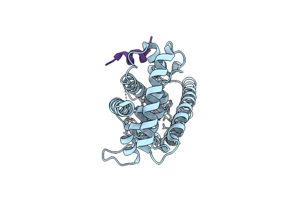 9F7X image