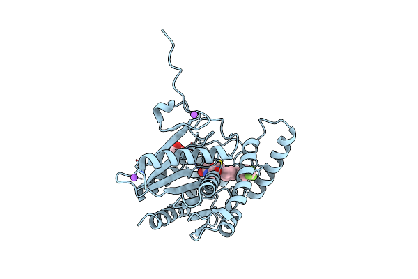 9F8B image