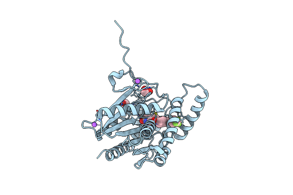 9F8C image