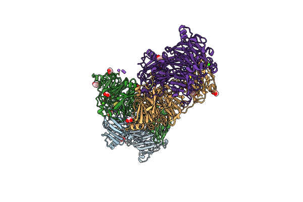 9F8X image