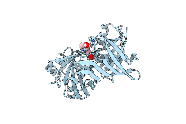 9F95 image