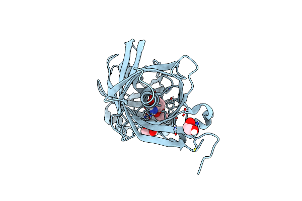 9F96 image