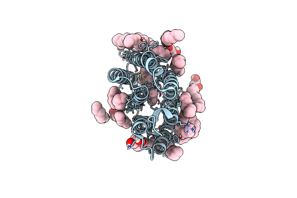 9F9B image