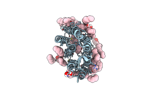 9F9C image