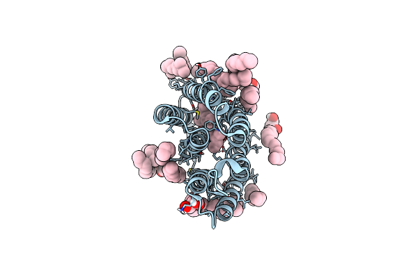 9F9E image