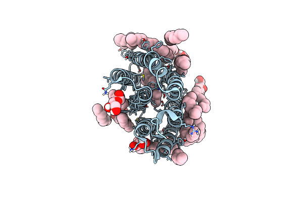 9F9G image