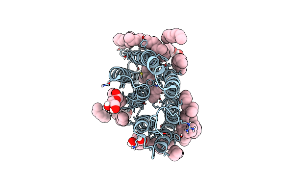 9F9H image